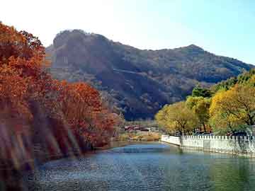 新澳天天开奖资料大全旅游团，新蒙迪欧怎么样